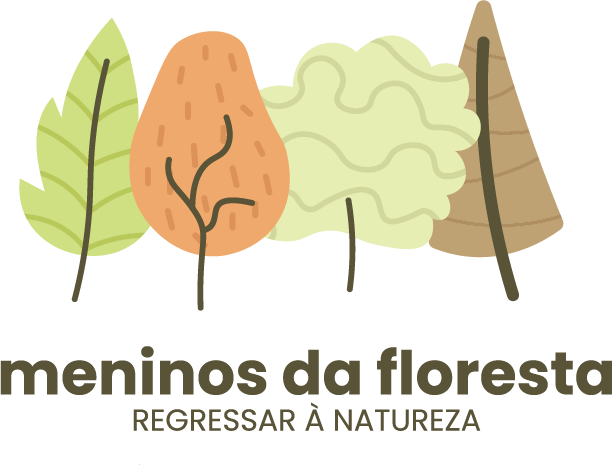 Meninos da Floresta